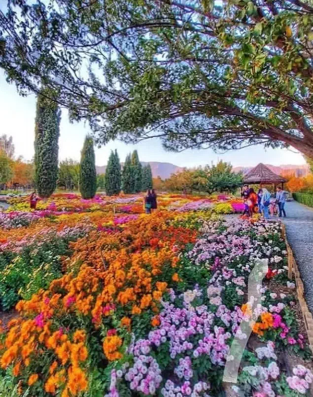 تور قطار شیرگاه تهران و کرج|تور و چارتر|اندیشه, شهرک صدف|دیوار