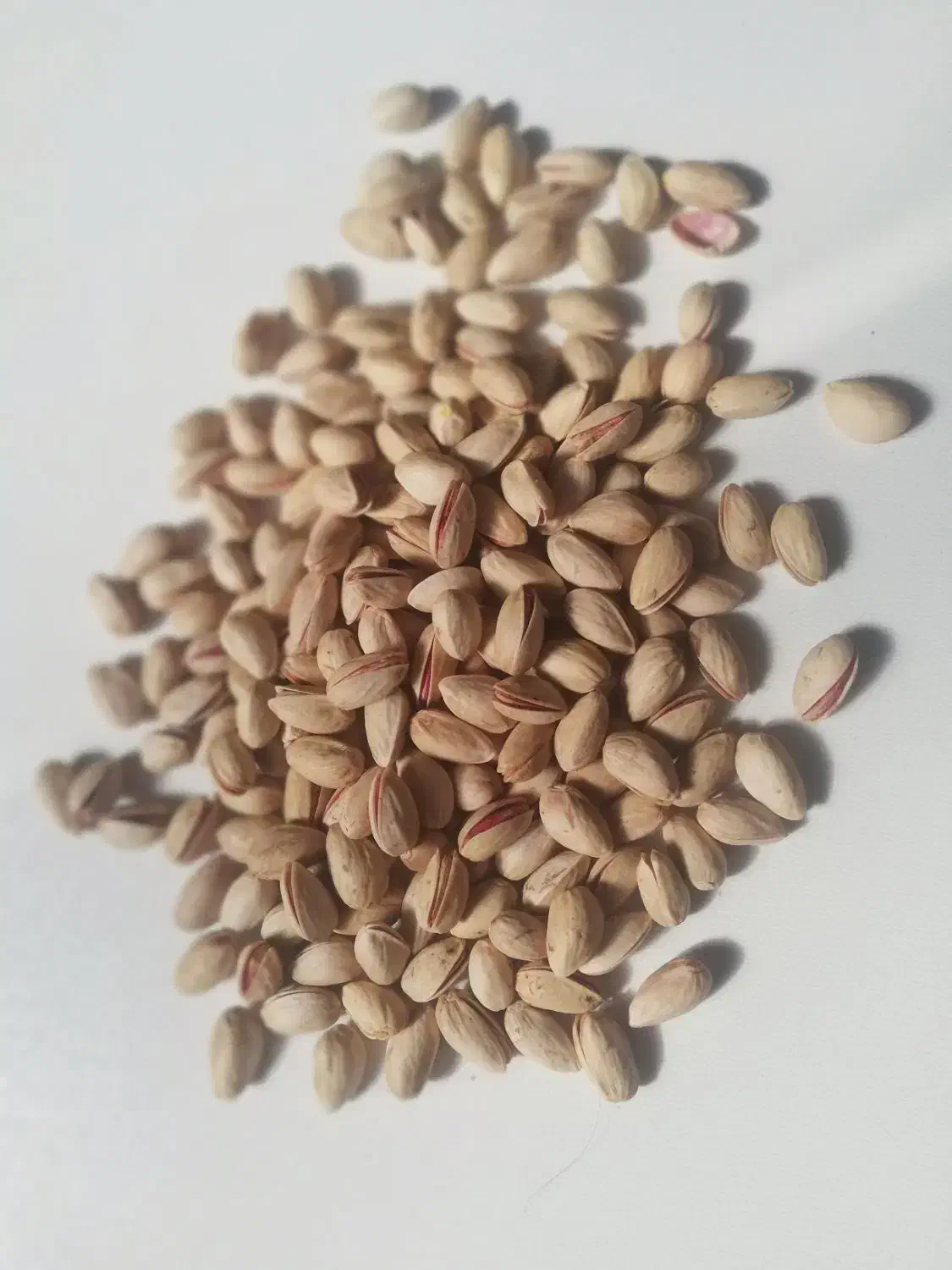 پسته دهن باز خندان|خوردنی و آشامیدنی|درمیان, |دیوار