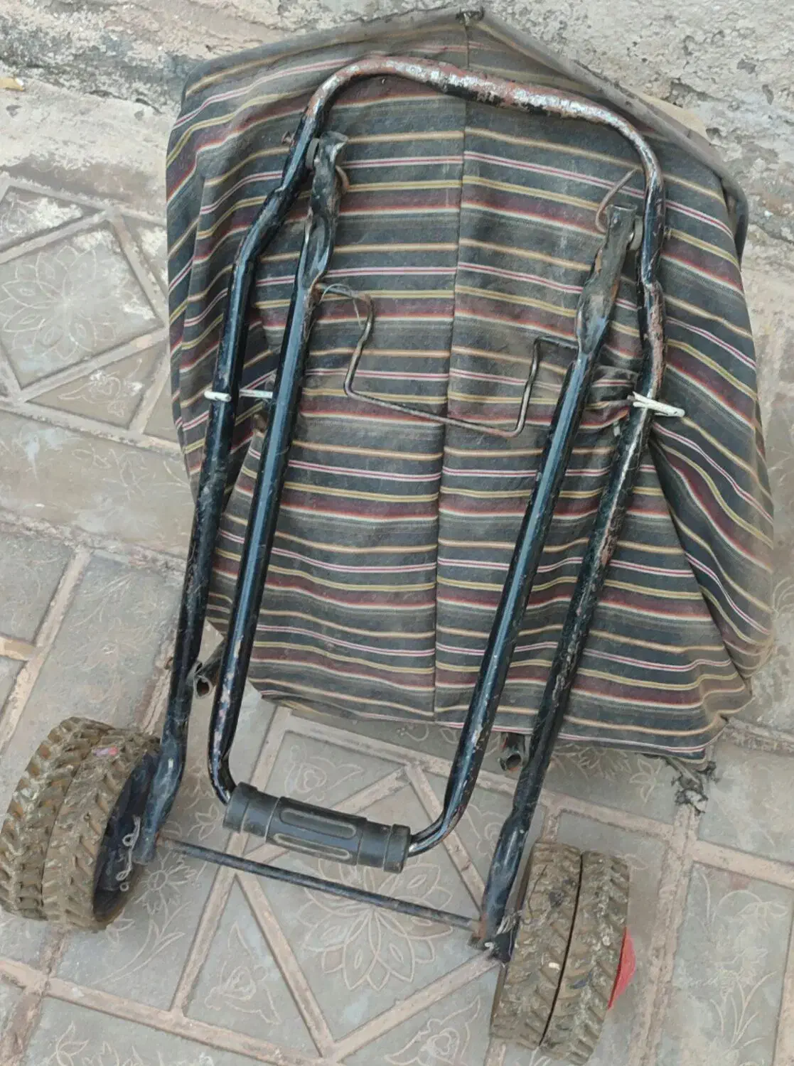 سبدخرید|فروشگاه و مغازه|بیرجند, |دیوار