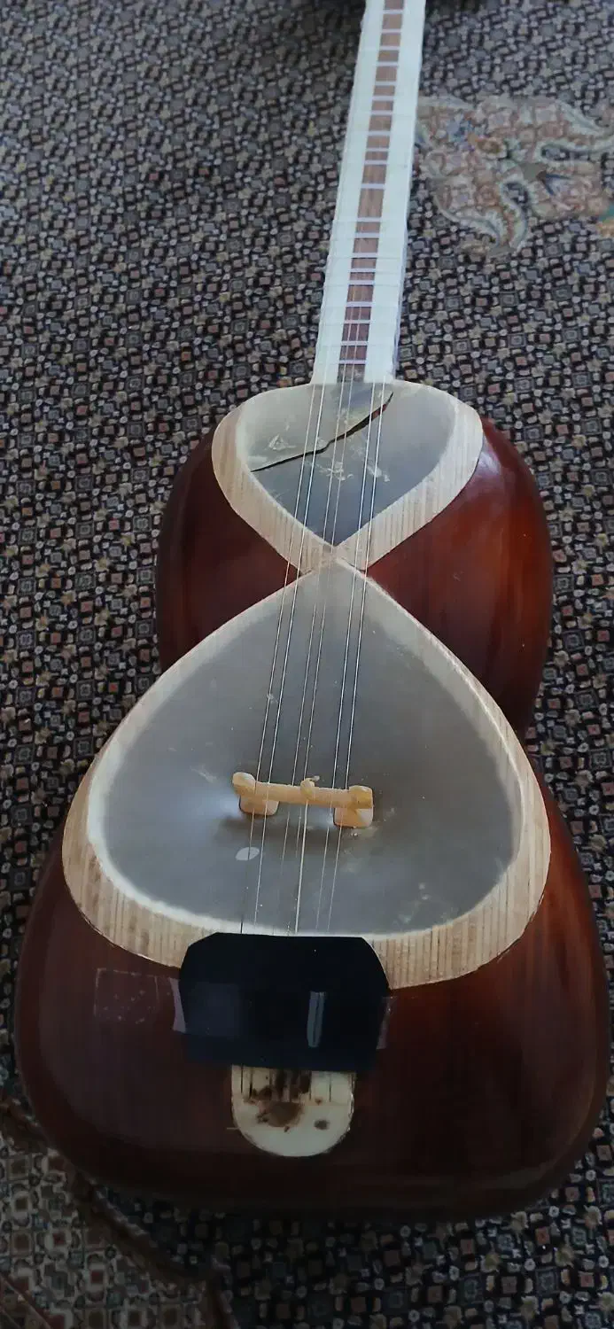 تار تک مهر ماهور|سازهای سنتی|تبریز, |دیوار