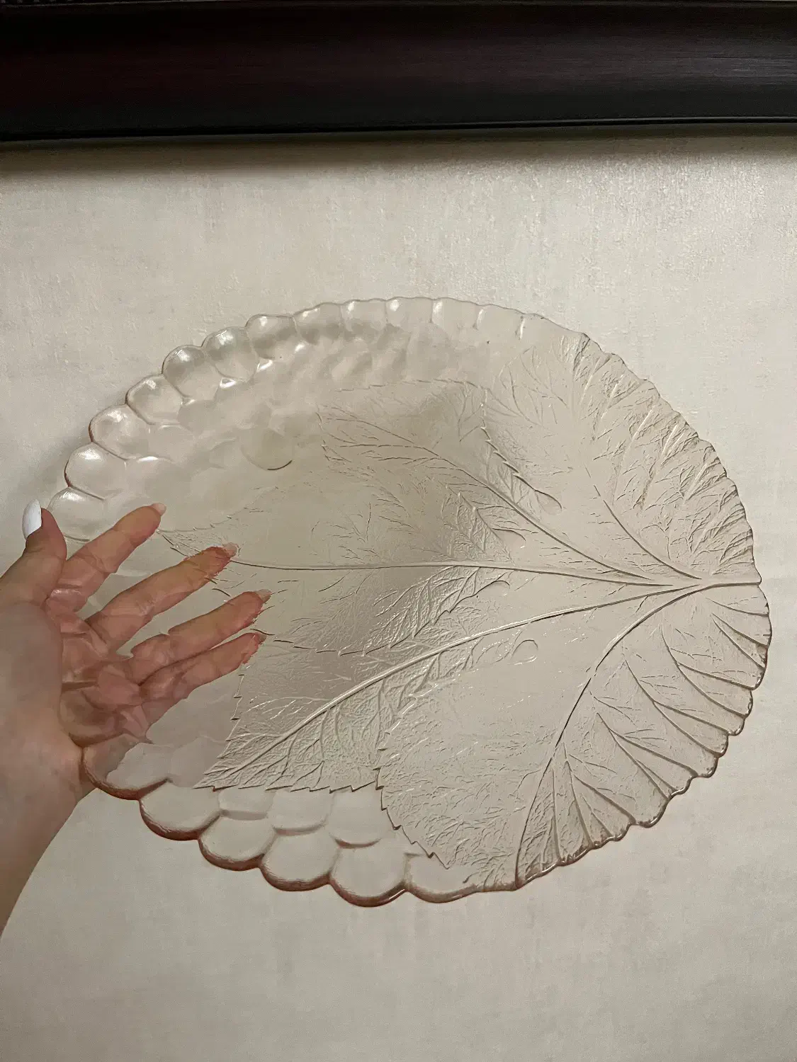 دیس بزرگ|ظروف سرو و پذیرایی|رشت, معلم|دیوار