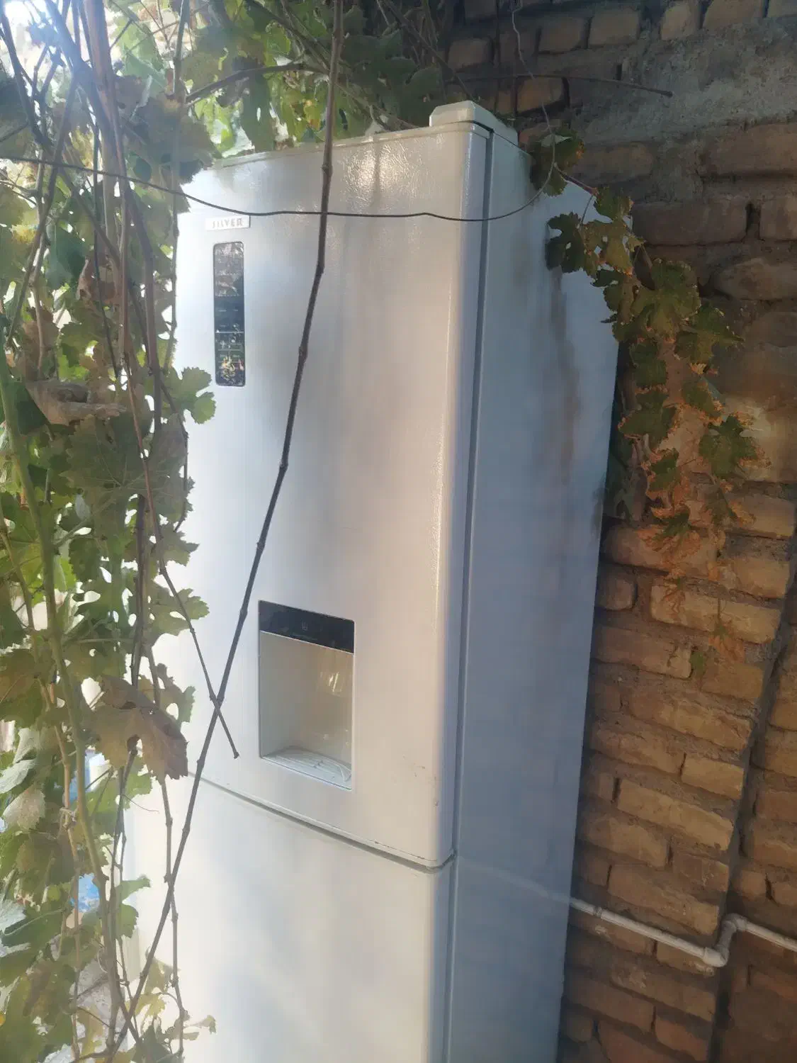 یخچال فریزر سیلور|یخچال و فریزر|تایباد, |دیوار