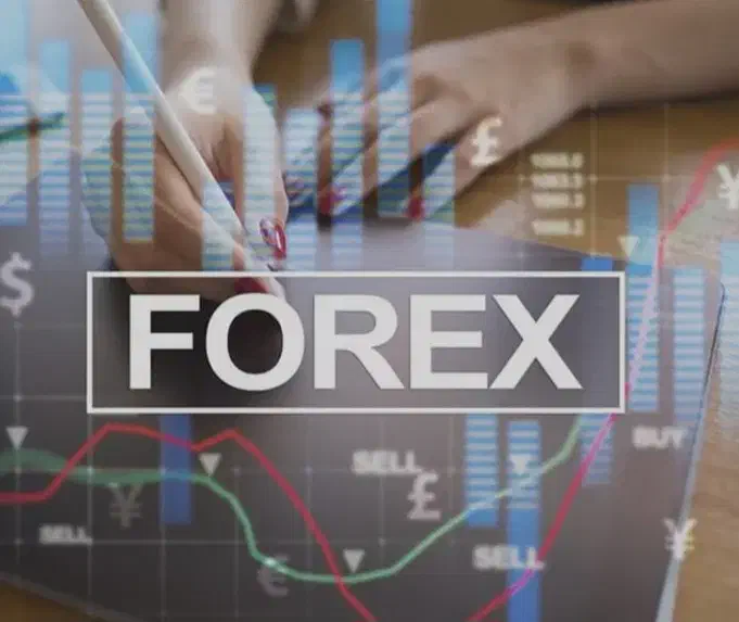 ربات فارکس (اکسپرت)|خدمات آموزشی|شیراز, سینما سعدی|دیوار