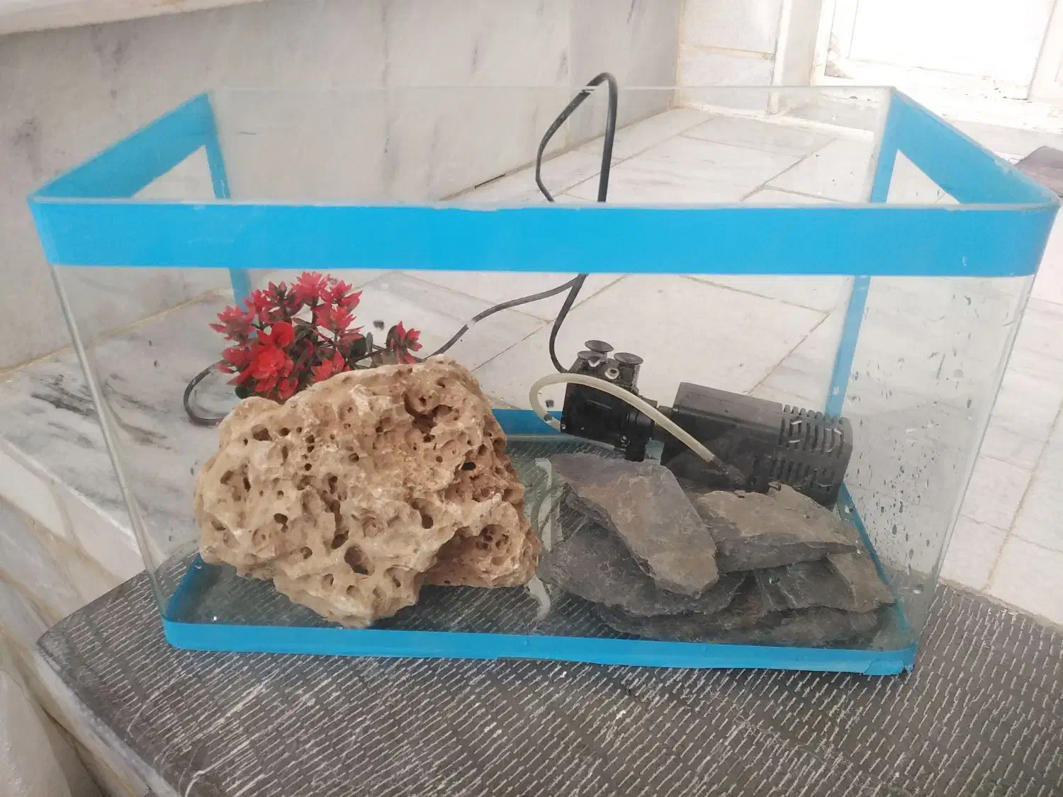 اکواریوم شیشه خم|ماهی|سنندج, |دیوار