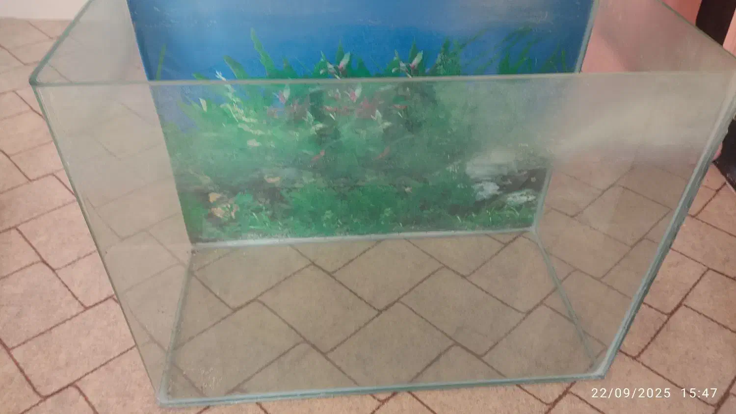 آکواریوم شیشه خم|ماهی|زنجان, |دیوار