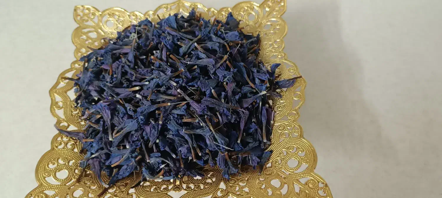 گل گاوزبان|خوردنی و آشامیدنی|قم, باغ شریفی|دیوار