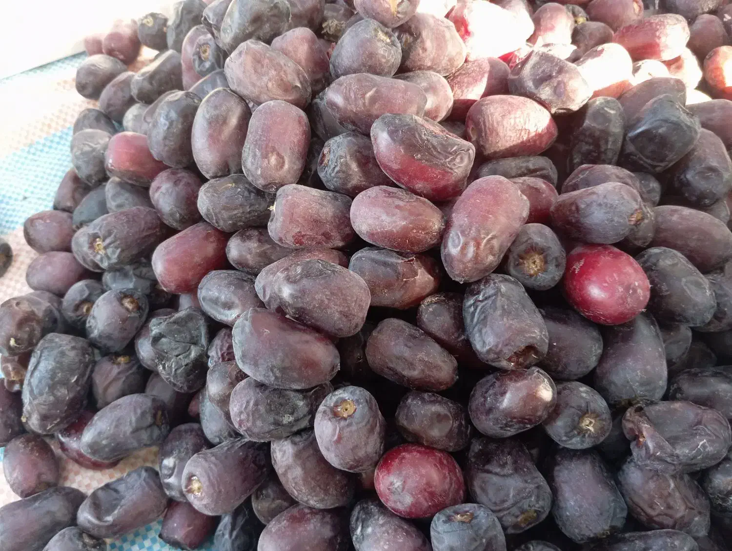 خرمای درجه 1مضافتی|خوردنی و آشامیدنی|لاشار, |دیوار