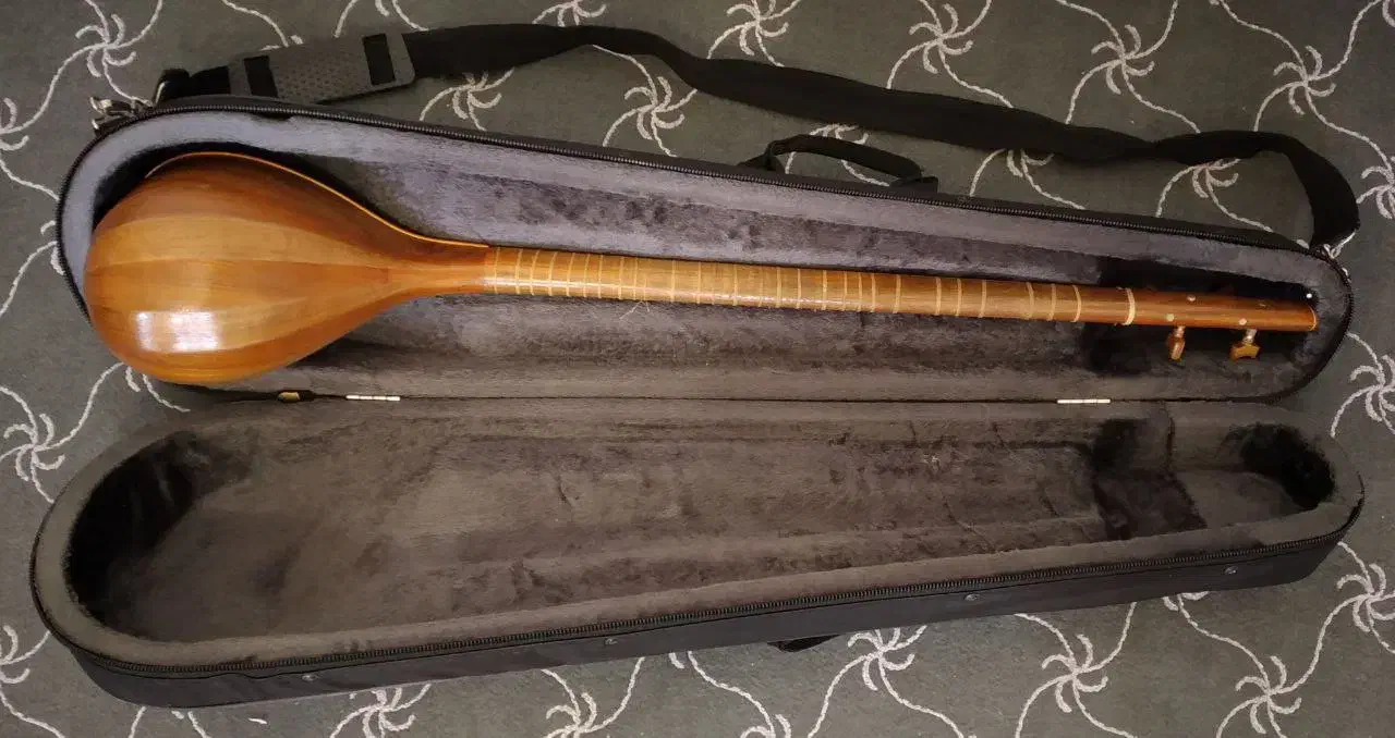 هارد کیس (کیف) سه تار|سازهای سنتی|مراغه, |دیوار