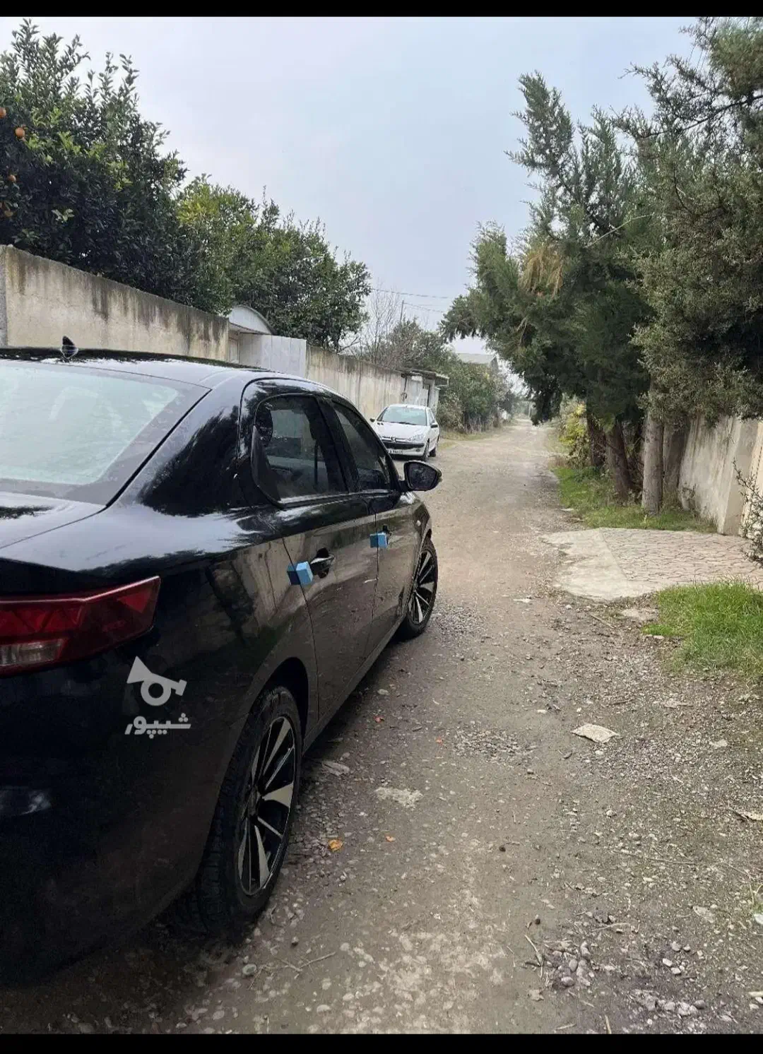 تارا دنده ای 1401|خودرو سواری و وانت|قائمشهر, |دیوار