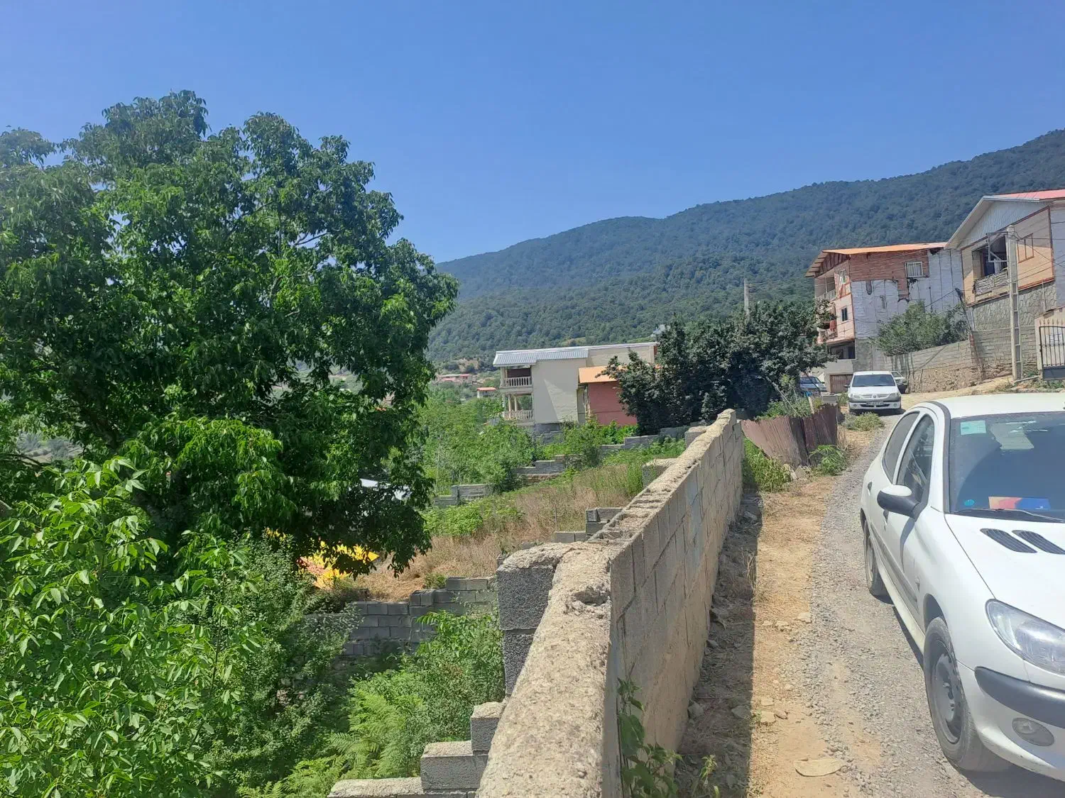 فروش زمین داخل بافت در دو قسط|فروش زمین و ملک کلنگی|آلاشت, |دیوار