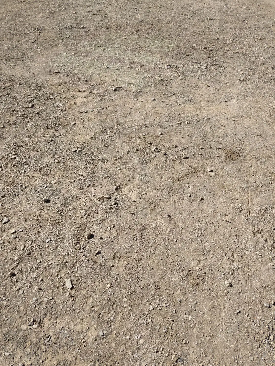 فروش‌زمین‌دیم‌|فروش دفتر صنعتی، کشاورزی، تجاری|ملایر, |دیوار