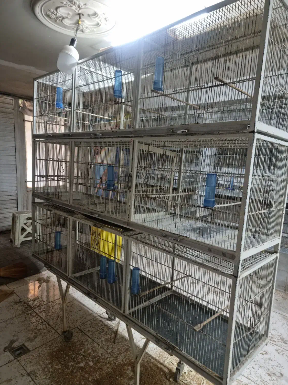 قفس پران|لوازم جانبی حیوانات|تهران, جوادیه|دیوار