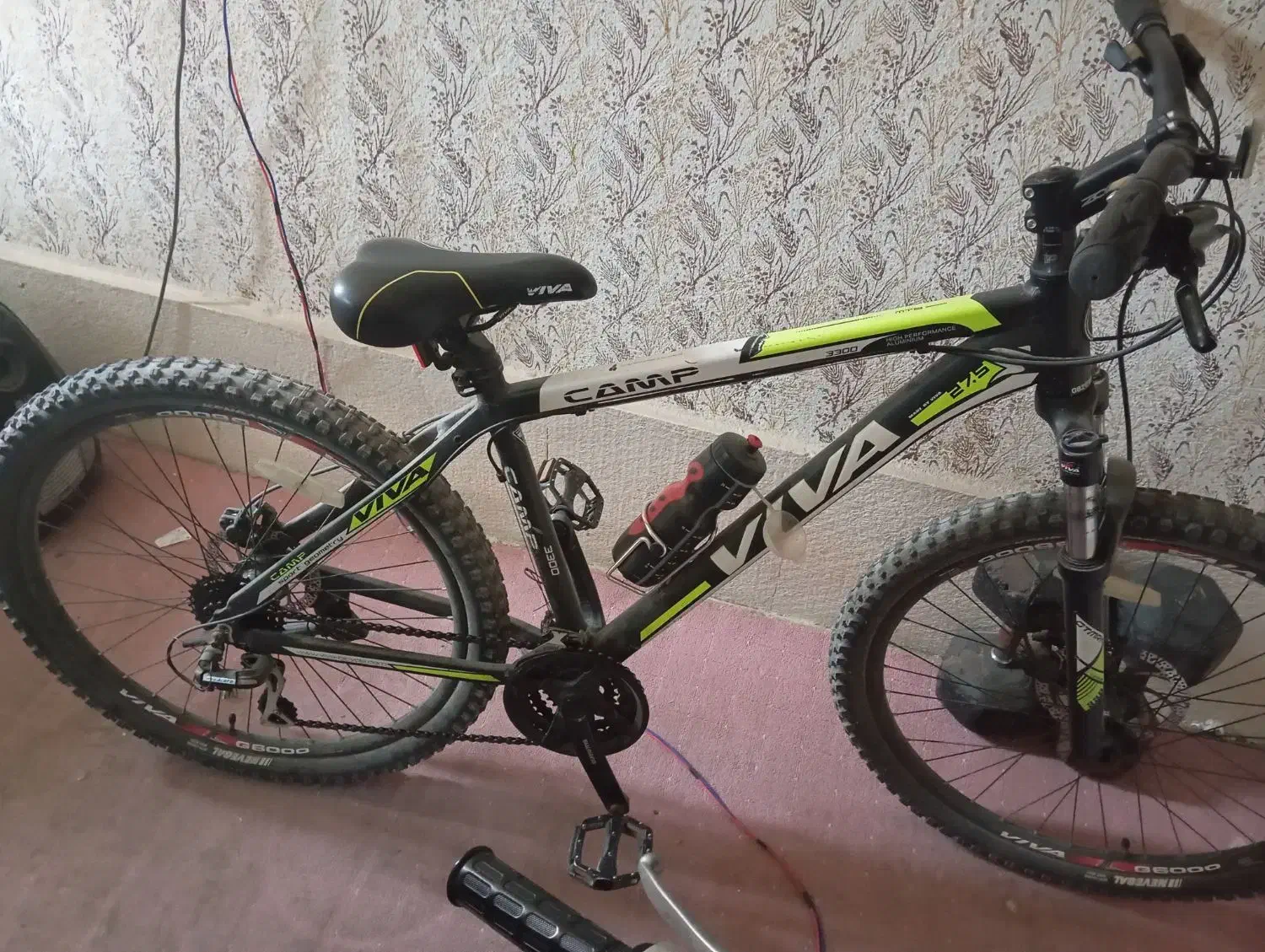 viva camp|دوچرخه، اسکیت، اسکوتر|شیراز, کوشک میدان|دیوار