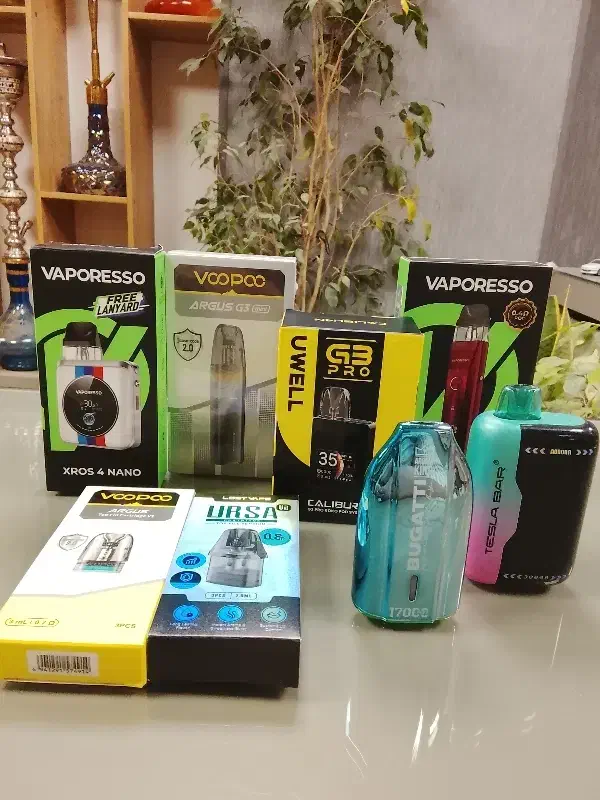 پاد سالت کارتیج|زیورآلات و اکسسوری|شیراز, دروازه اصفهان|دیوار