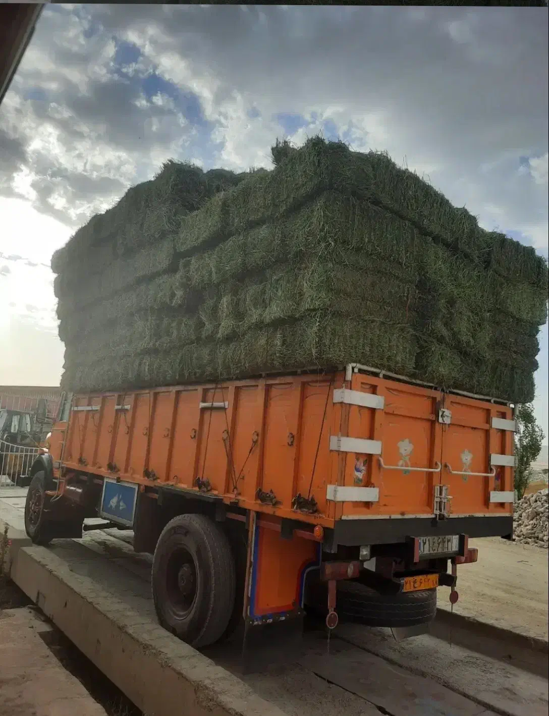 پرسه یونجه|خدمات باغبانی و درختکاری|رودخانه, |دیوار