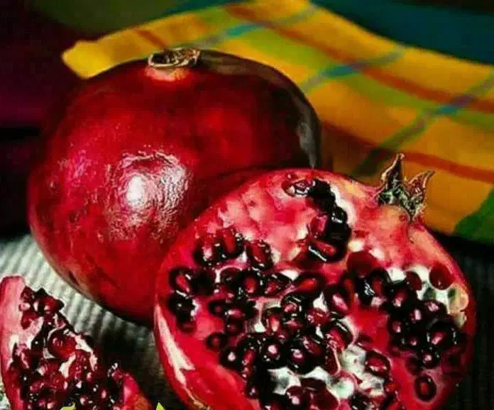 پیشفروش نهال انار ساوه|خدمات باغبانی و درختکاری|اصلاندوز, |دیوار