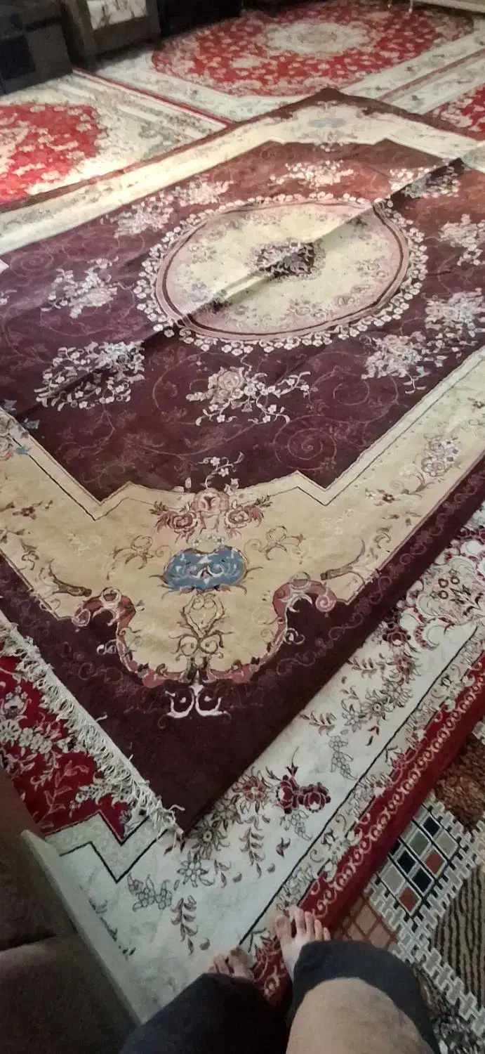 قالی|فرش|امیدیه, |دیوار