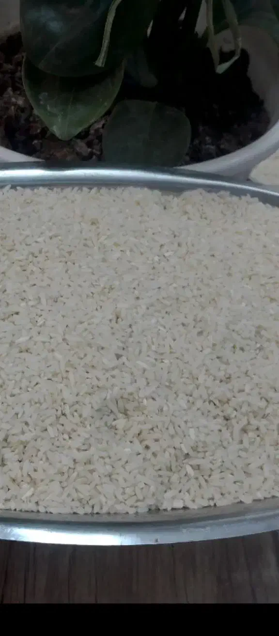 برنج وچای|خوردنی و آشامیدنی|املش, |دیوار