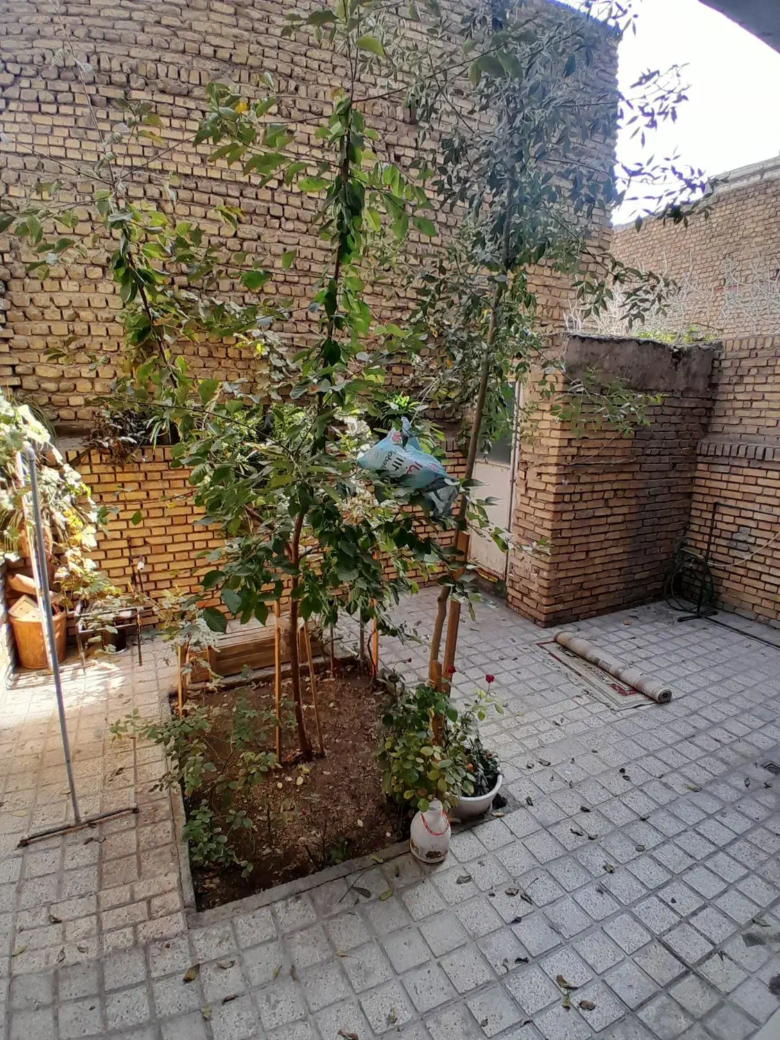 همکف/۱۲۰ متری /حیاط اختصاصی /تخلیه|اجارهٔ آپارتمان|مشهد, یوسفیه (شهرک غرب)|دیوار