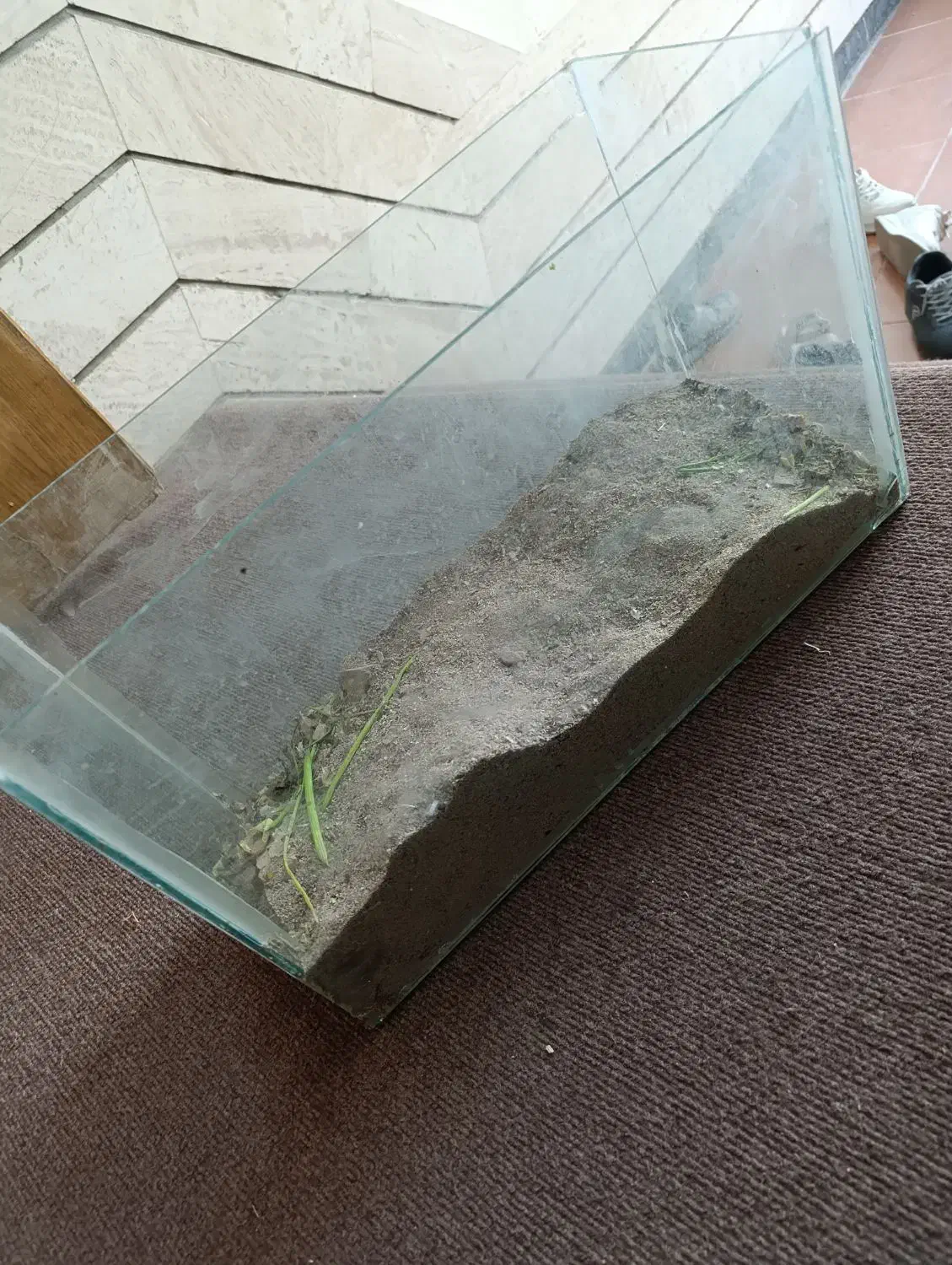 آکواریوم|لوازم جانبی حیوانات|سبزوار, امیر کبیر|دیوار