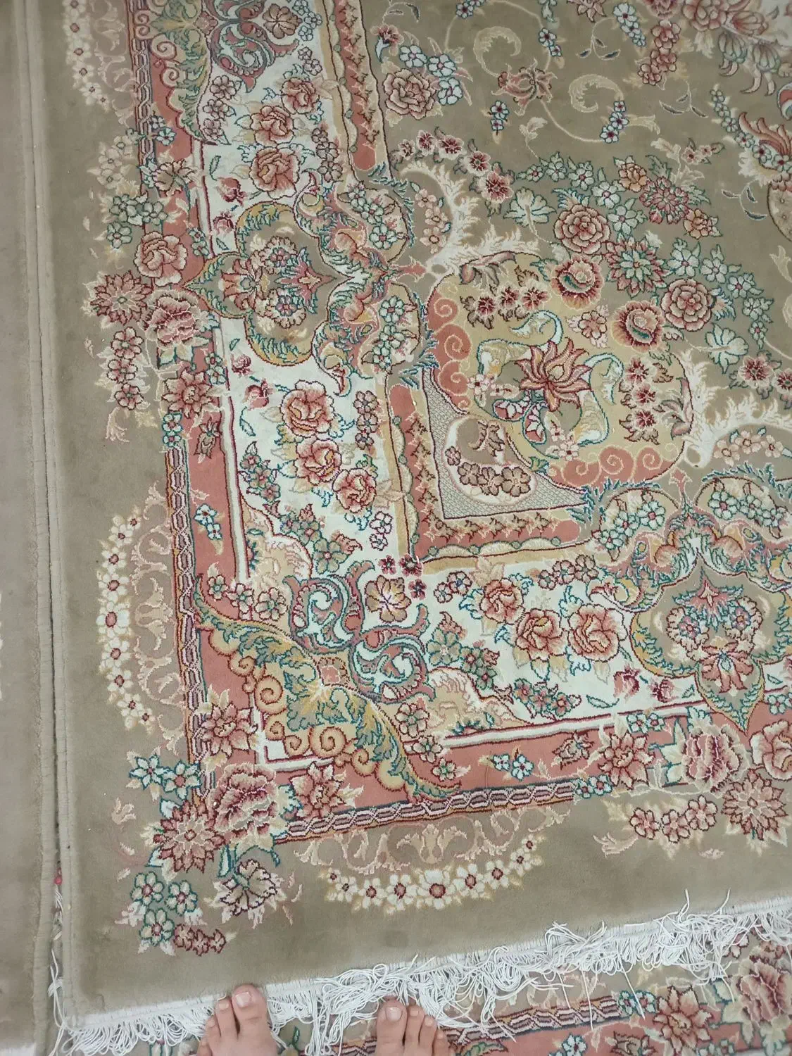 ۴عدد فرش۹متری|فرش|تربت‌حیدریه, داروپخش|دیوار