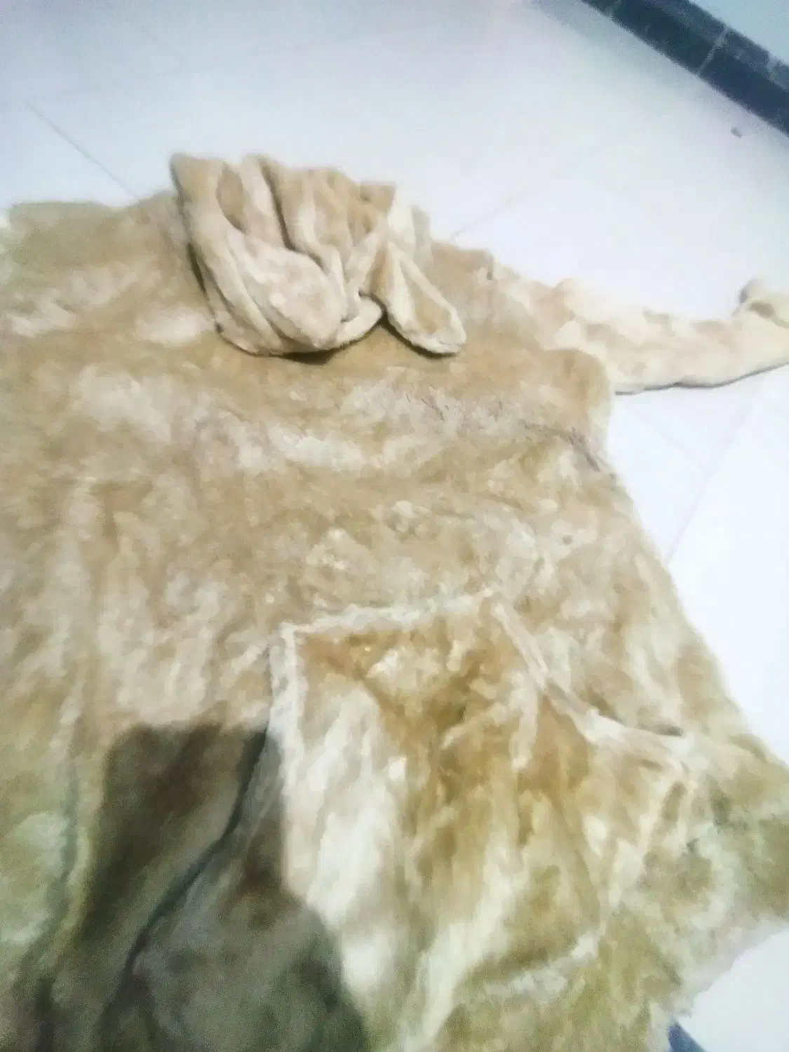 لباس|لباس|شاهرود, |دیوار