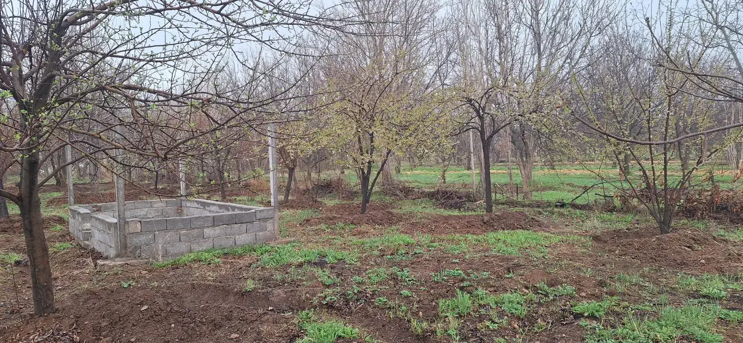 باغ|فروش دفتر صنعتی، کشاورزی، تجاری|کنگاور, |دیوار