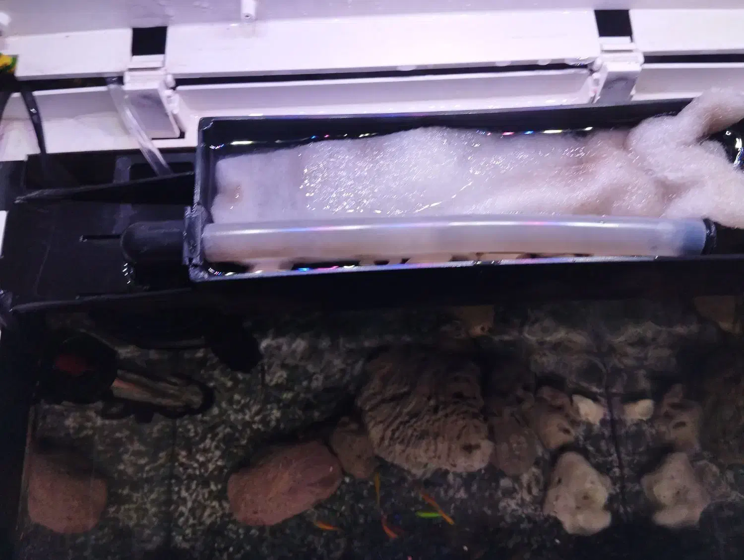 آکواریوم K390فروش فوری|ماهی|بندر ماهشهر, |دیوار