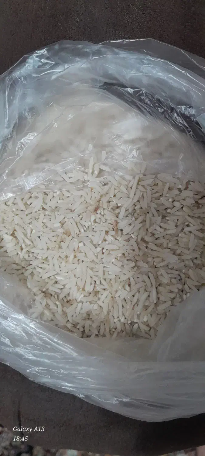 برنج هاشمی|خوردنی و آشامیدنی|بندر انزلی, کلیور|دیوار