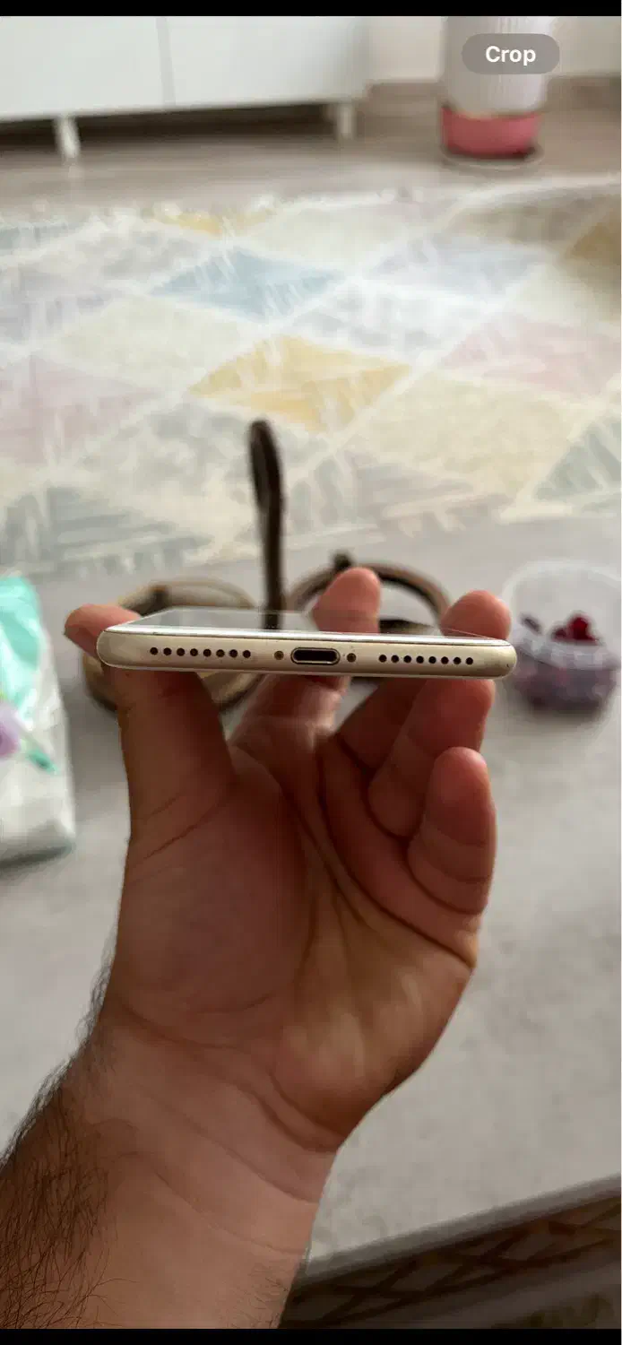 iphone 7plus|موبایل|رشت, سعدی (تختی)|دیوار