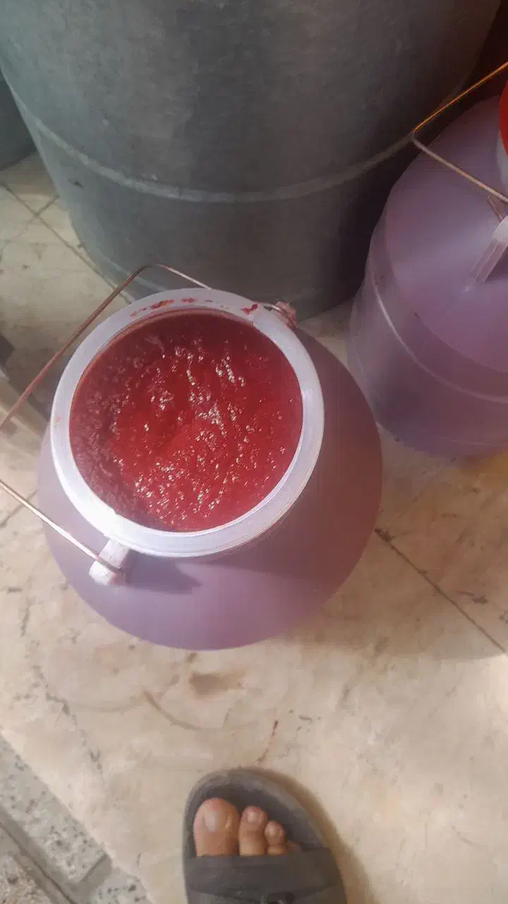 رب دبه ای ۶ کیلو یی وقت ۴۳۰ بسیار خوش رنگ|خوردنی و آشامیدنی|نصر آباد, |دیوار