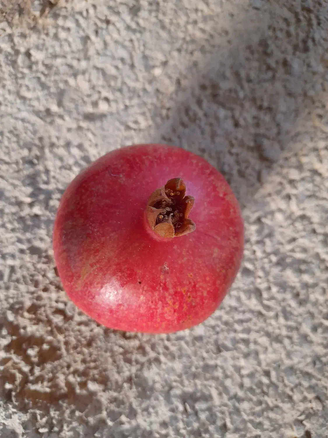 انارربی،رب انار|خوردنی و آشامیدنی|مهدی شهر, |دیوار