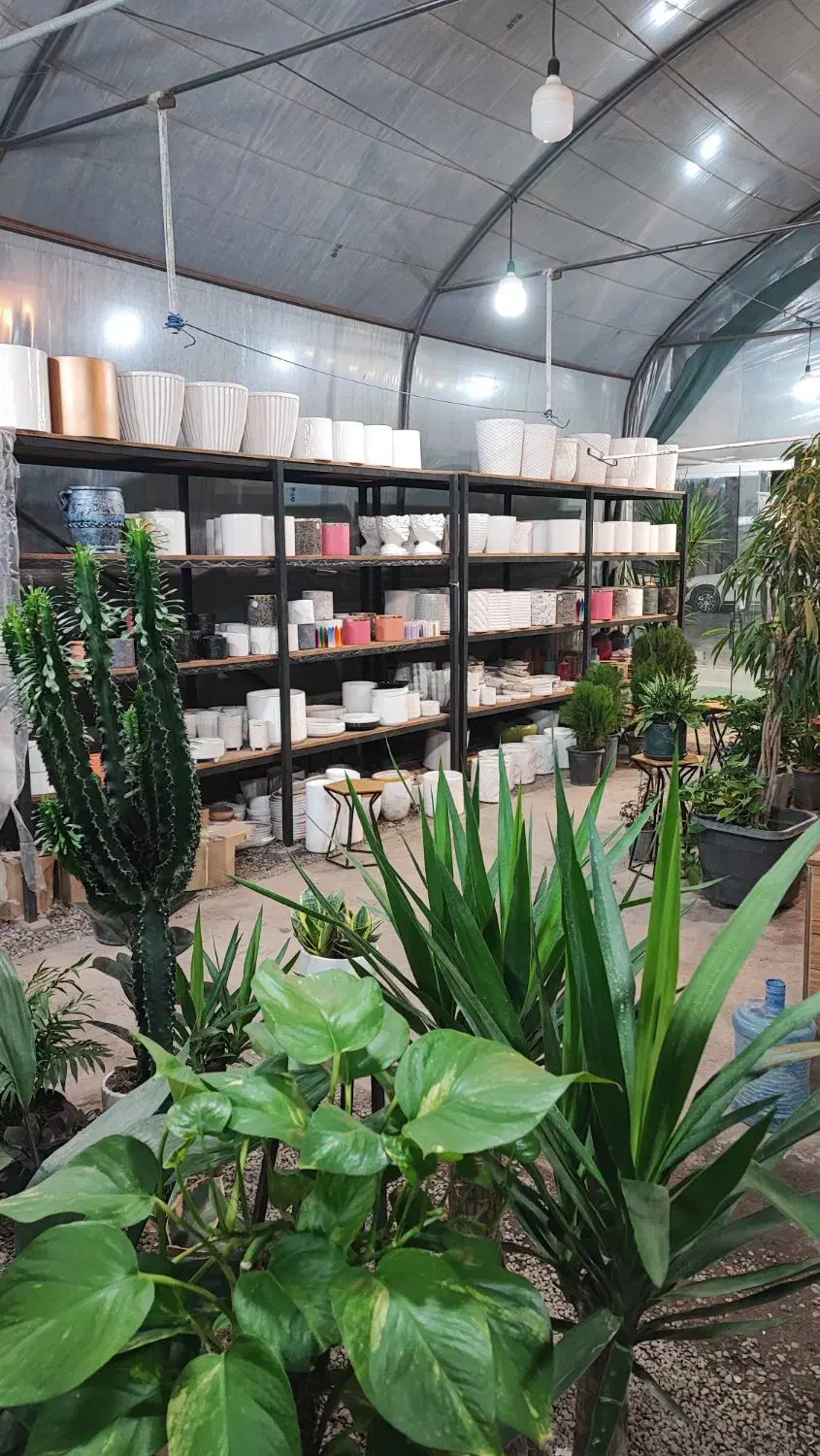 اجاره گلخانه یا واگذاری کامل|اجارهٔ دفتر صنعتی، کشاورزی، تجاری|سیرجان, |دیوار