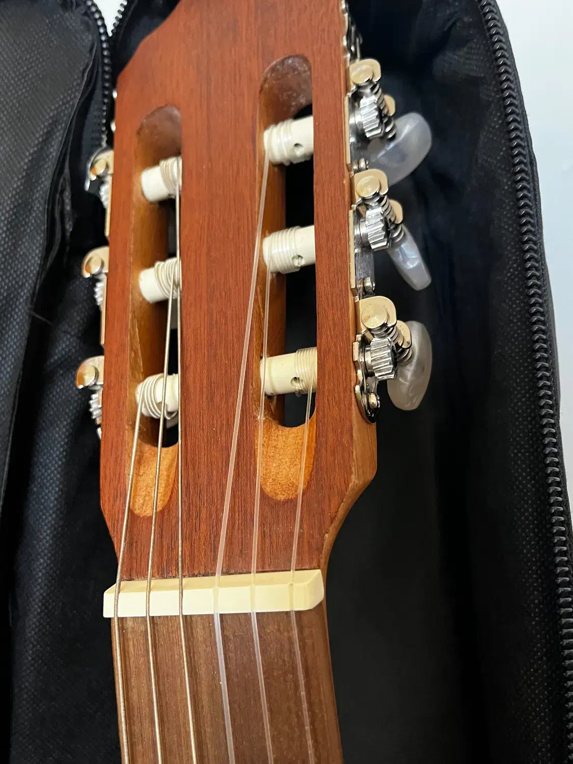 گیتار بنبرگ|گیتار، بیس، امپلیفایر|اصفهان, کوی ولی عصر|دیوار