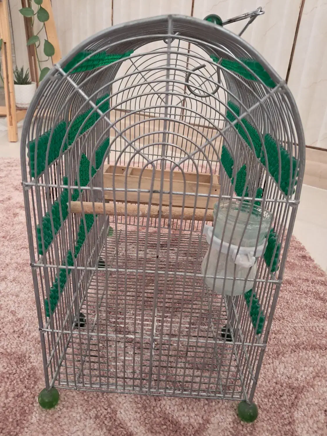 قفس|لوازم جانبی حیوانات|مرودشت, ثبت احوال|دیوار