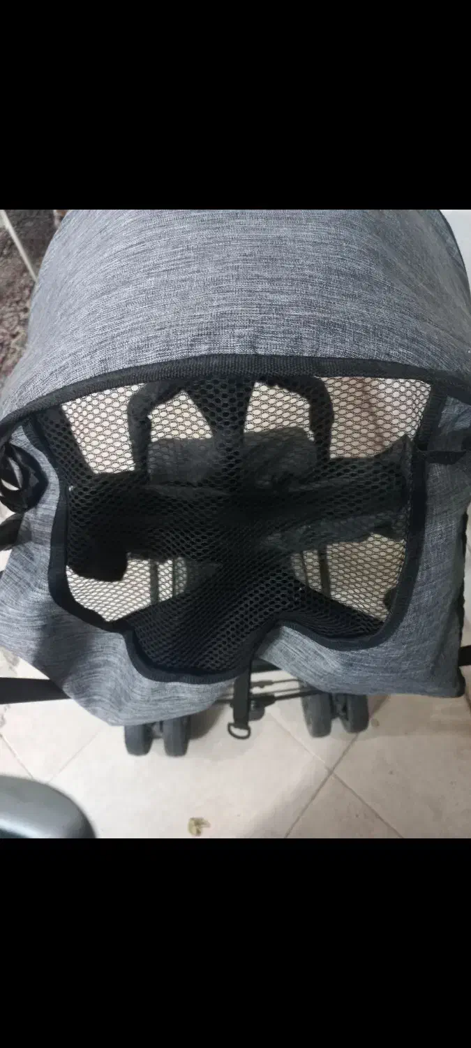 کالسکه دلیجان دیبا پلاس|کالسکه و لوازم جانبی|کرمان, |دیوار