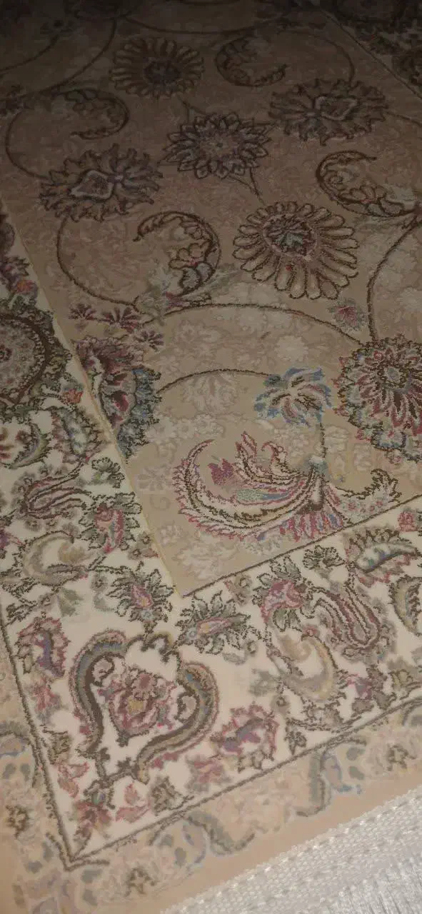 یک جفت پادری کرم صدفی ۱۶۰۰ شانه|پادری|کاشان, راوند|دیوار