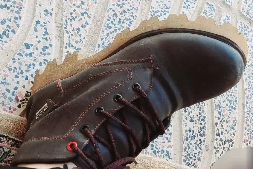 کفش|کیف، کفش، کمربند|کوهدشت, |دیوار