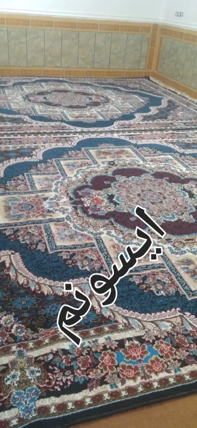 فرش|فرش|دهدشت, |دیوار