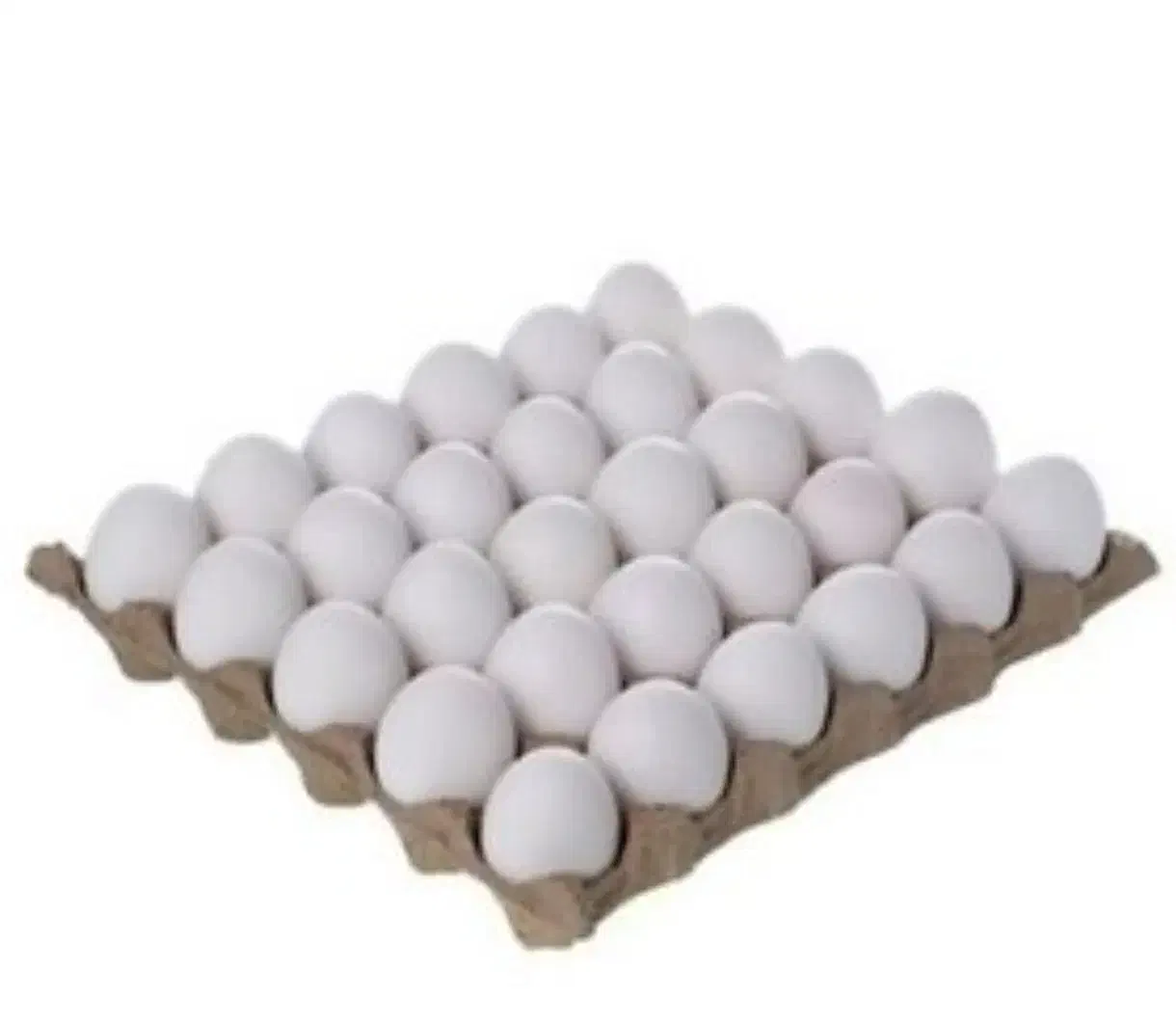 تخم مرغ تازه|عمده‌فروشی|کرمانشاه, |دیوار