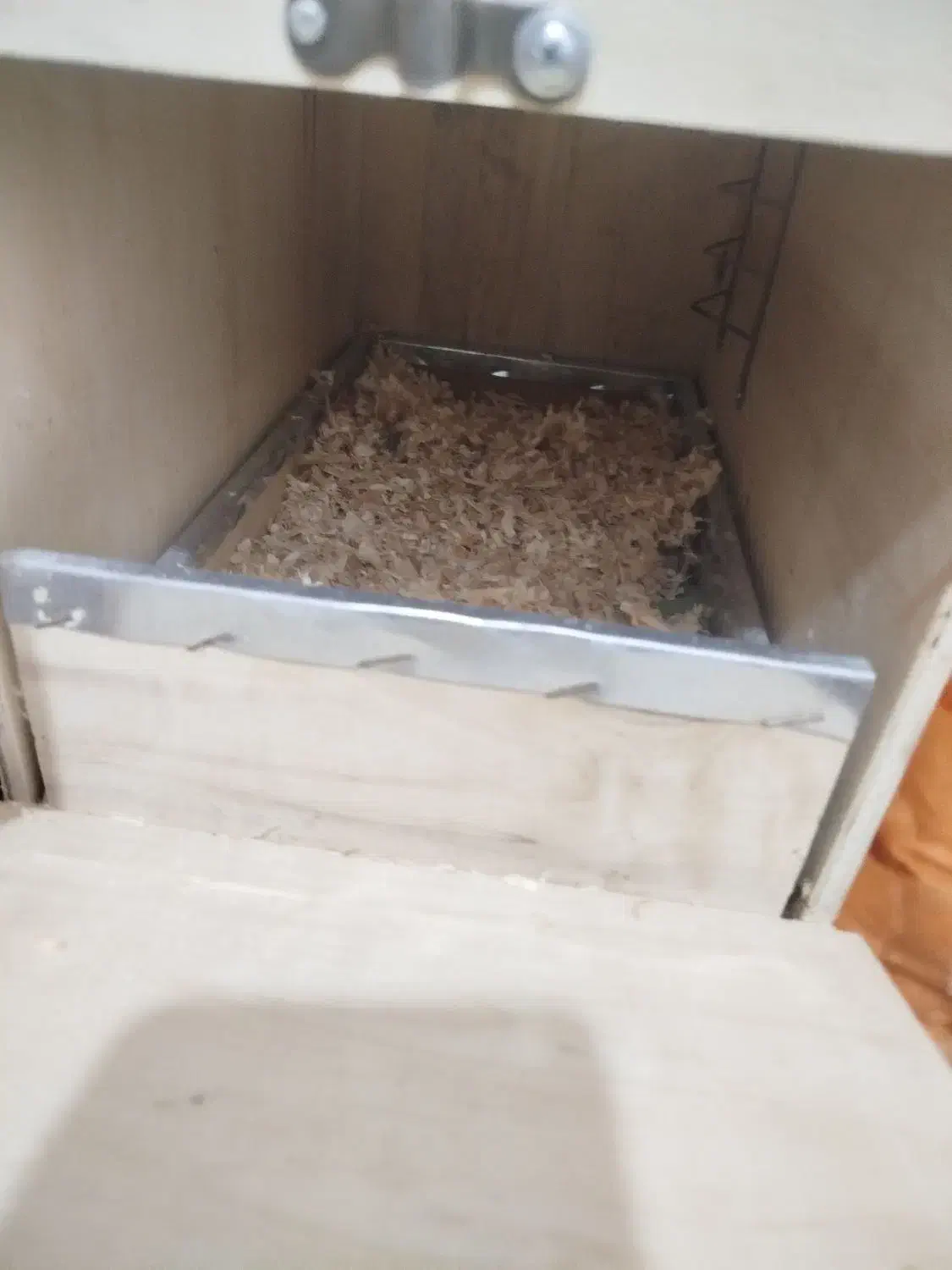 لونه پرنده|لوازم جانبی حیوانات|دوگنبدان, |دیوار