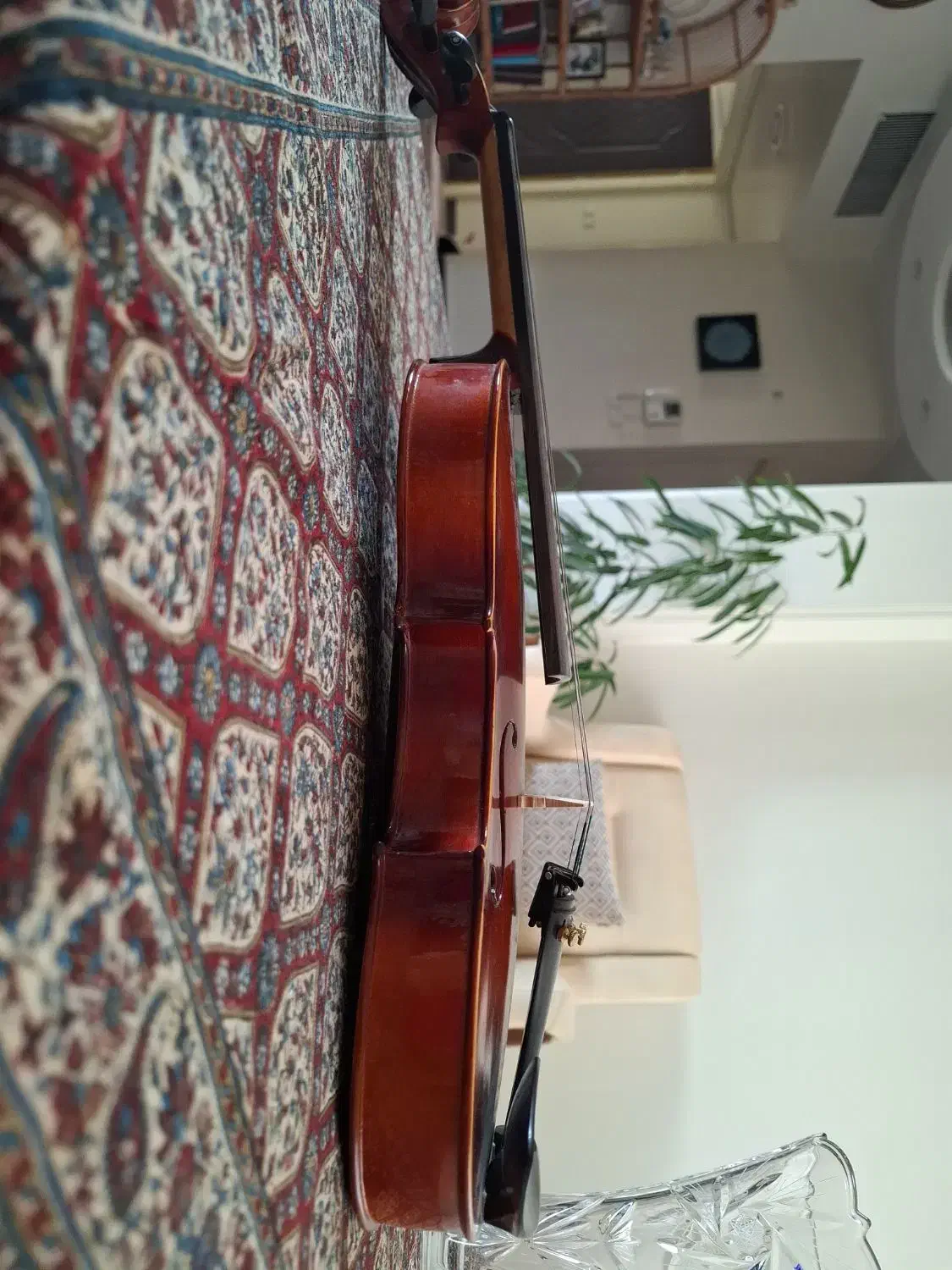 ویالون|ویولن|اراک, |دیوار