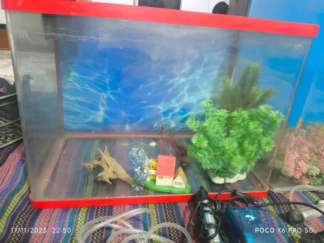 آکواریوم شرکتی|لوازم جانبی حیوانات|قزوین, |دیوار