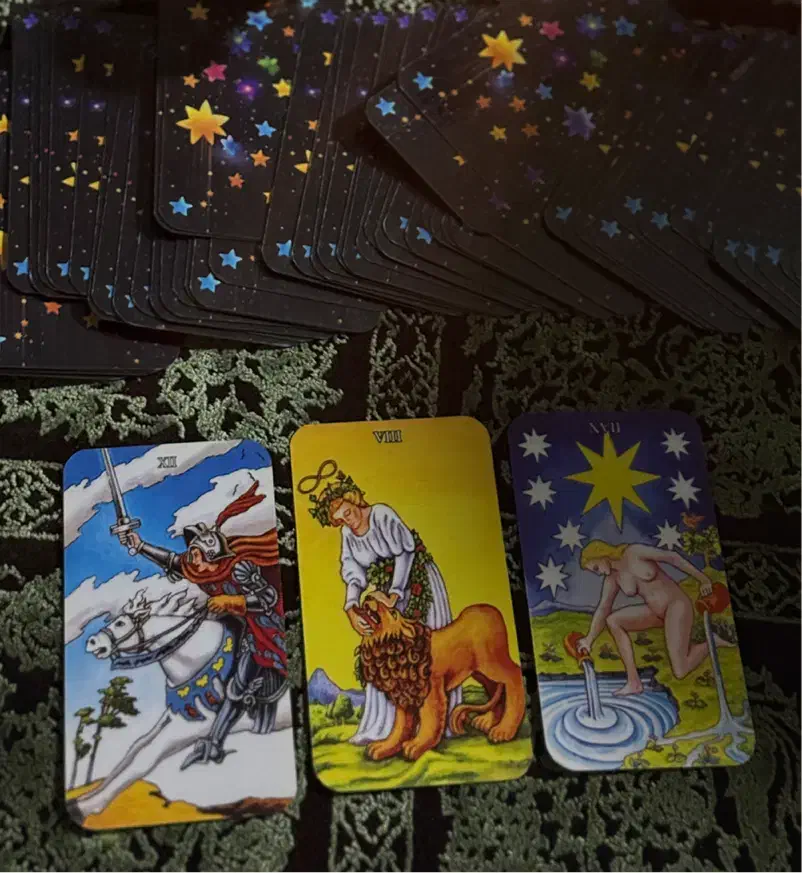 فال تاروت|خدمات پذیرایی، مراسم|رشت, حومه رشت|دیوار