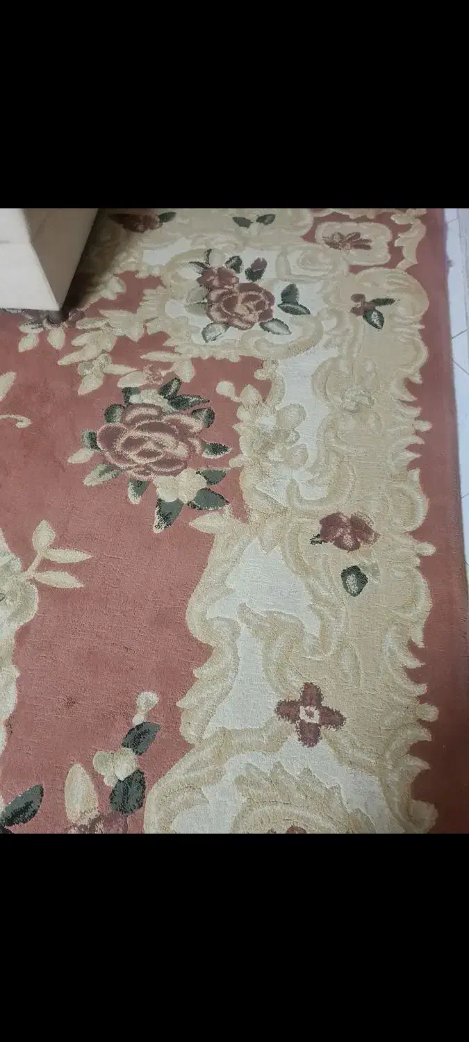 فرش|فرش|گرگان, |دیوار