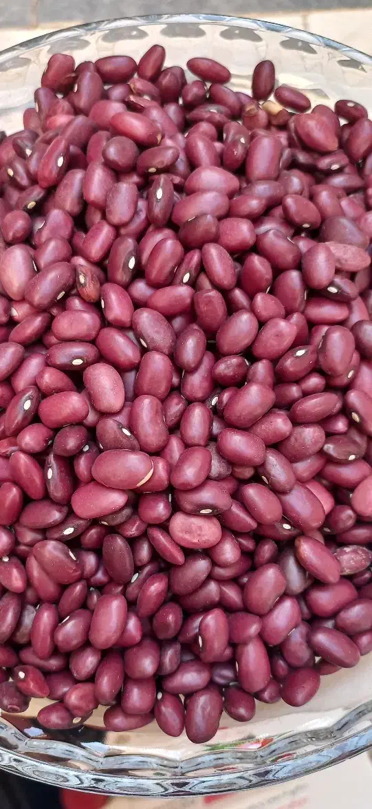 قرمز. چیتی|خوردنی و آشامیدنی|قم, شهرک فاطمیه|دیوار