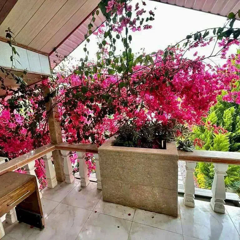 باغچه ویلای پراز گل/مبله بافت مسکونی/شخصی ساز|فروش خانه و ویلا|فریدونکنار, |دیوار