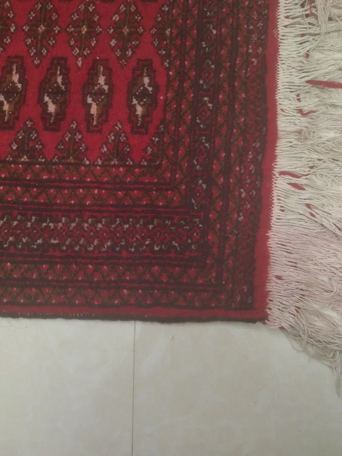 فروش فرش ترکمن|فرش|گلبهار, شهر جدید گلبهار|دیوار