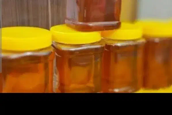 عسل ناب|خوردنی و آشامیدنی|قم, باجک یک|دیوار