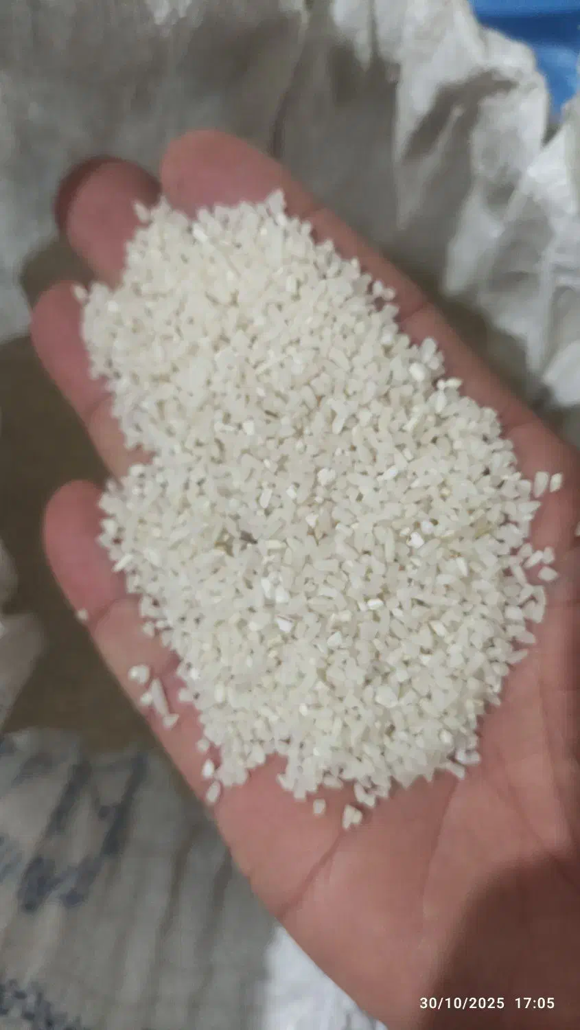 برنج نیم دانه طارم هاشمی|خوردنی و آشامیدنی|سورک, |دیوار